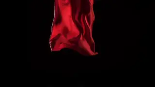 Seedance 2.5 on the fabric in motion: delivered