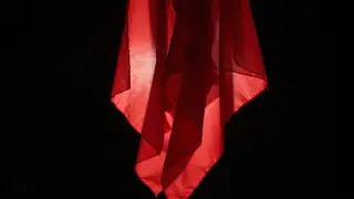Veo 3.1 Lite on the fabric in motion: delivered