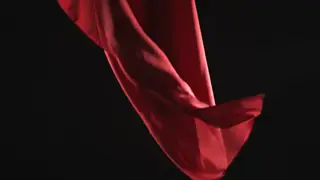 Veo 3.1 on the fabric in motion: delivered